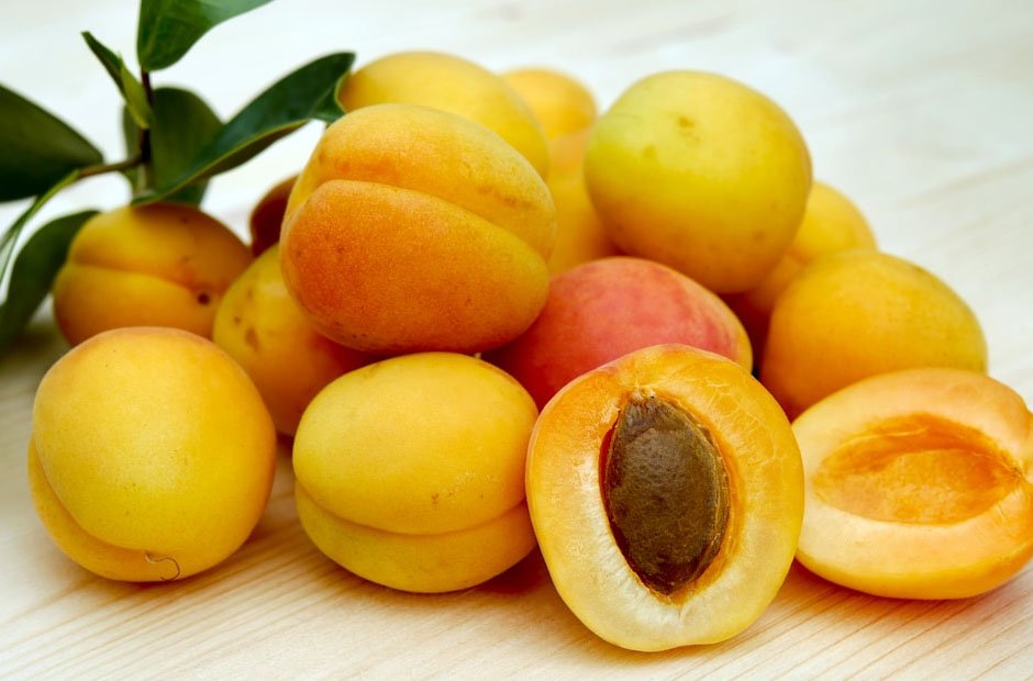 exploring the nutritional profile of apricot seeds