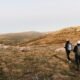 sustainable activities to enjoy in thredbo