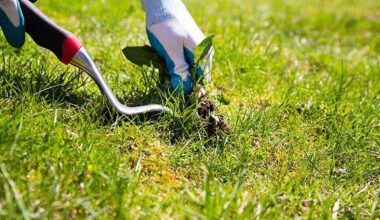 ways to control weeds after grass fertilizing