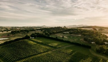 investing in land for sale in murrumbateman