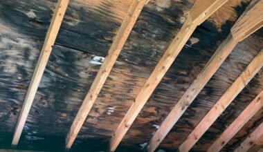 prevent mold crawl space