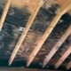 prevent mold crawl space