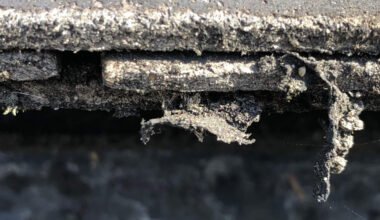 sources of asbestos in everyday environments
