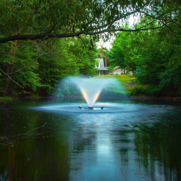 the hidden environmental benefits 3