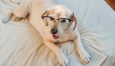 before you get a puppy, read this