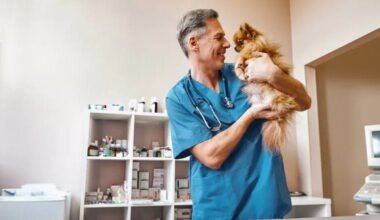 best veterinary clinic