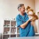 best veterinary clinic