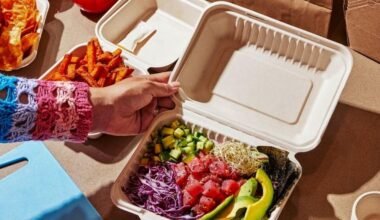 eco conscious takeaway containers for fast food