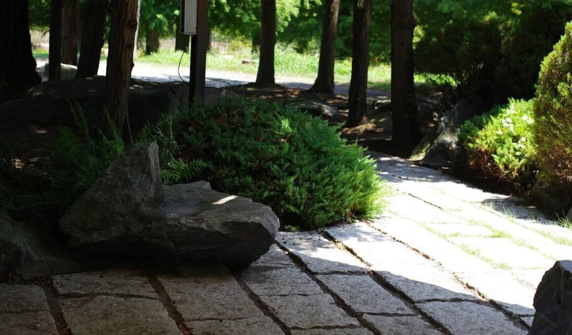 is natural stone more expensive than pavers