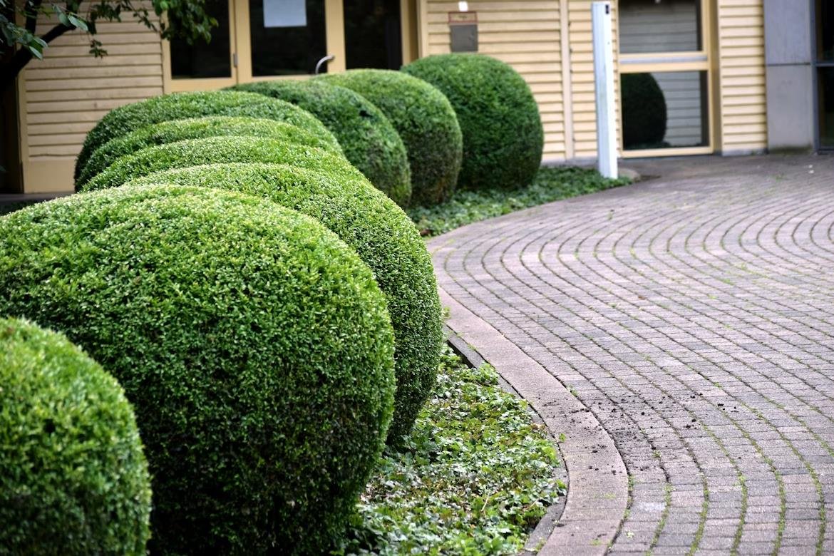 is natural stone more expensive than pavers 2