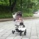 making errands fun for your furry companion