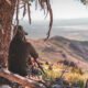 planning an out of state hunting trip