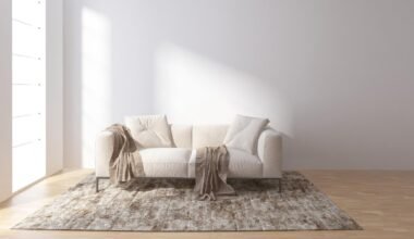 simple rug placement tricks for any layout