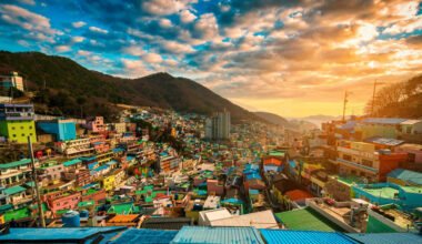 vibrant world of korean painters