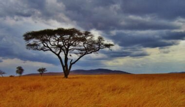 why tanzania is a top choice for cultural travel in east africa