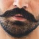 best men’s beard products explained