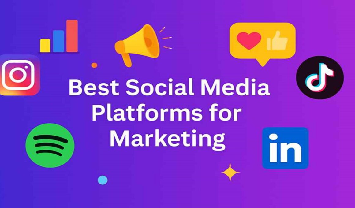 rafaria.com best social media platforms for marketing 1