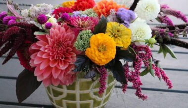 city's premier florist