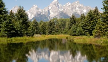 creating unforgettable memories in jackson hole luxury retreats