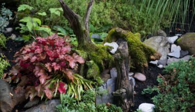 creative landscaping ideas after stump removal