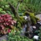creative landscaping ideas after stump removal