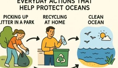 how people everywhere can help protect our oceans every day