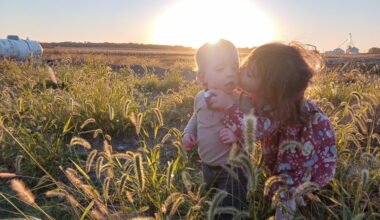 securing your legacy the essential guide to farm succession planning
