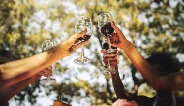 the art of wine tasting