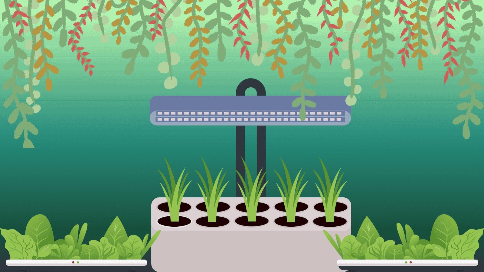 the best way to grow herbs indoors 2