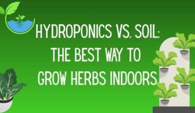 the best way to grow herbs indoors