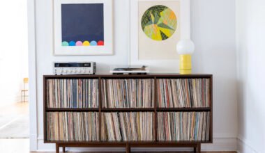 vinyl storage