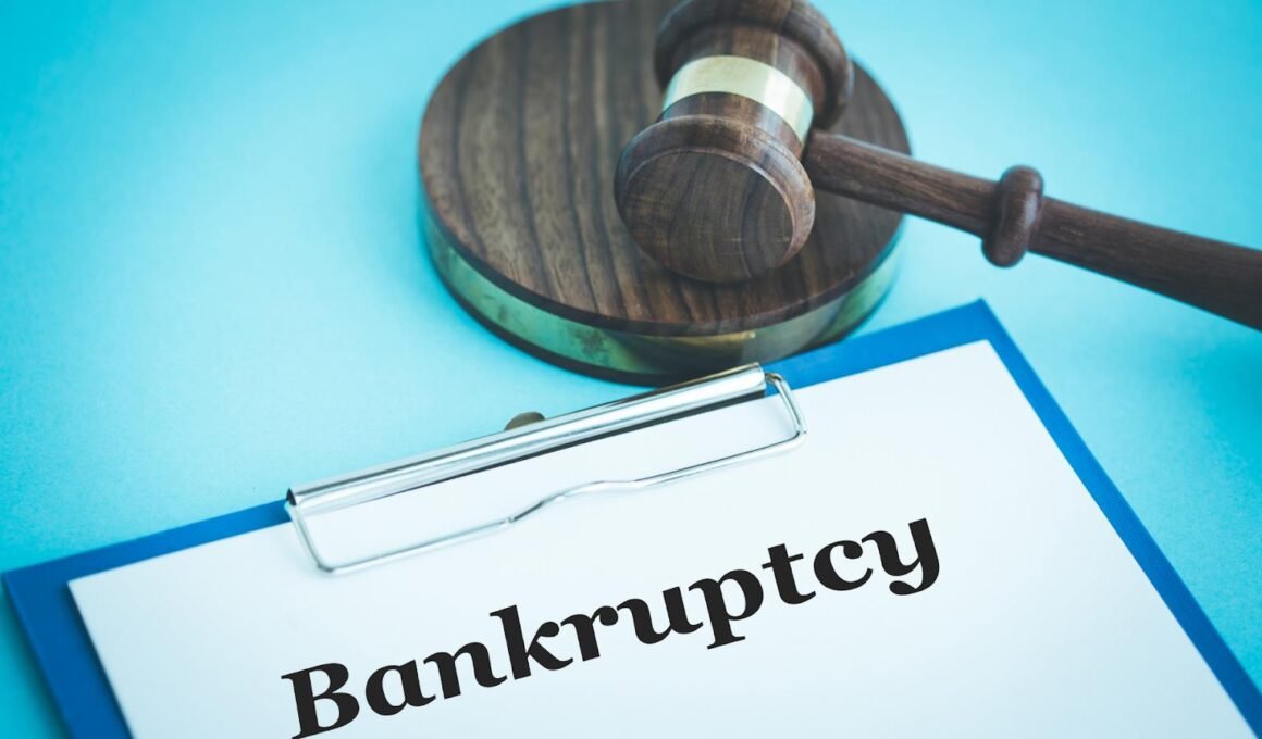 wage garnishment laws