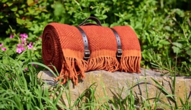perfect picnic blanket