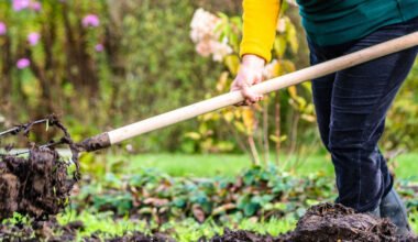 the fall garden prep