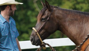 what makes a calm horse suddenly nervous