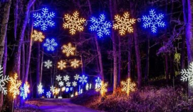 discover the brightest local light displays