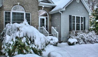 seasonal exterior care