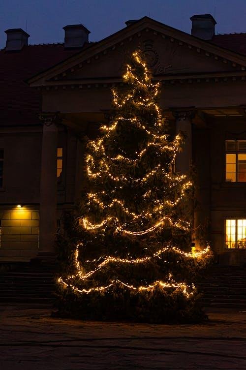 what new homeowners should know about seasonal exterior care 2