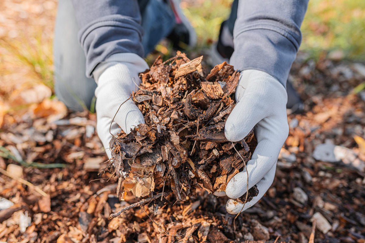 how to choose among mulch mound & other suppliers in indianapolis 2