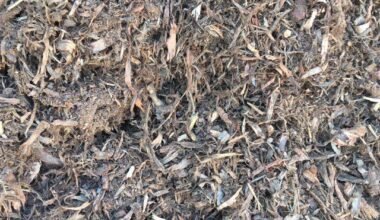 how to choose among mulch mound & other suppliers in indianapolis