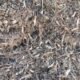 how to choose among mulch mound & other suppliers in indianapolis