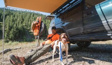 how to safely prepare your vehicle for outdoor adventures with your dog