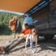 how to safely prepare your vehicle for outdoor adventures with your dog
