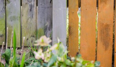 what actually causes green stains on fences and outdoor wood