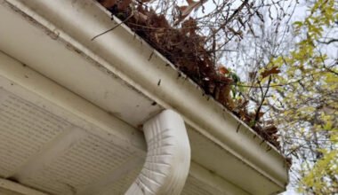 why clean rooflines and gutters improve the look of exterior decor