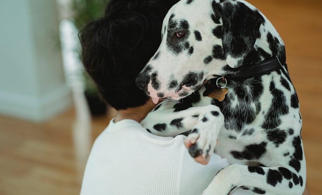 how to choose the best emotional support animal for your needs