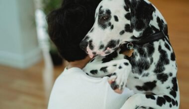 how to choose the best emotional support animal for your needs