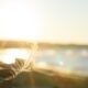 scaling water and waste efficiency across michigan