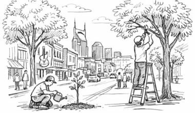 the importance of tree maintenance for nashville’s urban canopy