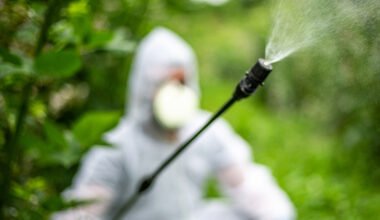 roundup non hodgkin’s lymphoma claim
